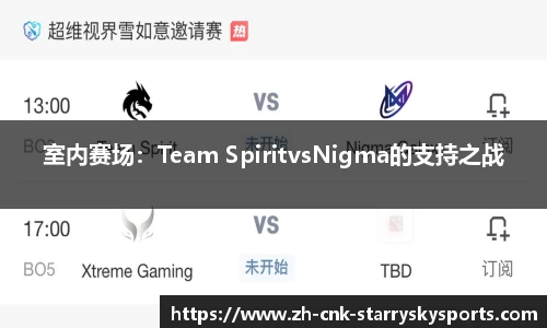 室内赛场：Team SpiritvsNigma的支持之战